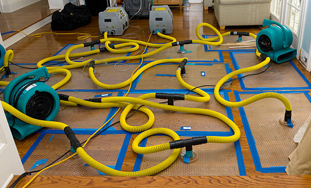 Professional Water Damage Repair technician working in Harwood, TX