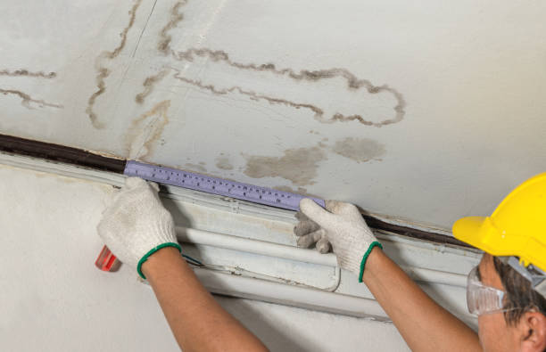 Affordable Water Damage Repair solutions in Harwood, TX